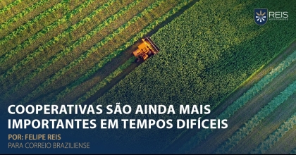 Artigo de Felipe Reis é publicado no Correio Braziliense