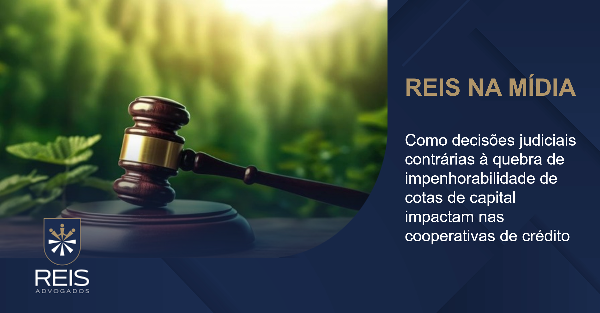 | Reis na Mídia | Cooperativas: Consequências do descumprimento da Lei Complementar 196/2022